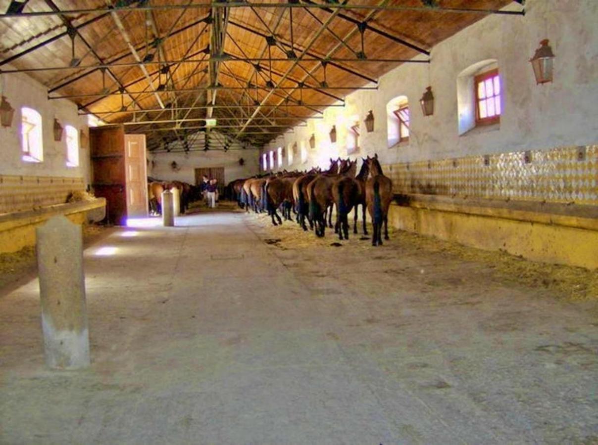 6 Persoons Vakantiewoning Portugal - Casa Do Balao - En - Casa Pequeno Pintor Figueira e Barros Екстериор снимка